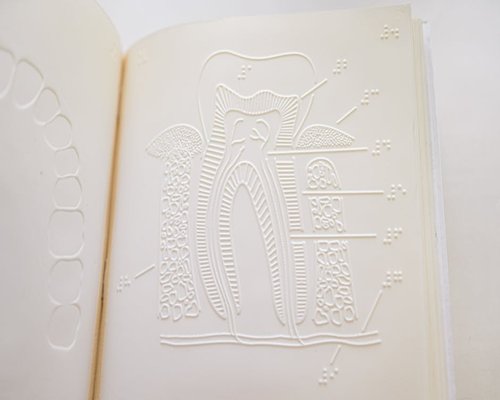 Abstract educational diagram of circulation