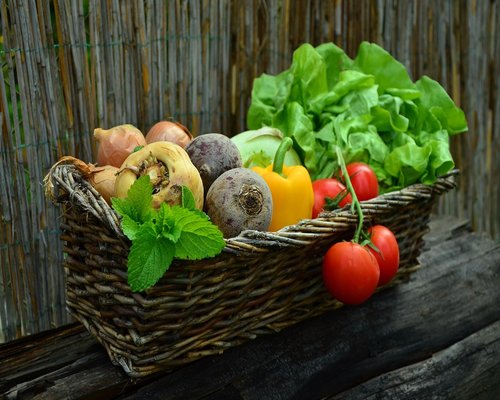 Assortment of fresh organic vegetables
