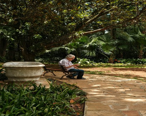 Senior person relaxing in a garden